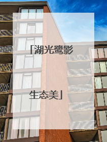 湖光鹭影生态美