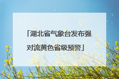 湖北省气象台发布强对流黄色省级预警