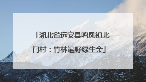 湖北省远安县鸣凤镇北门村：竹林遍野绿生金