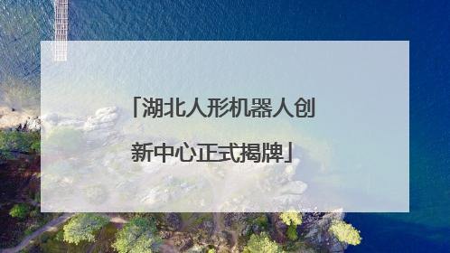 湖北人形机器人创新中心正式揭牌