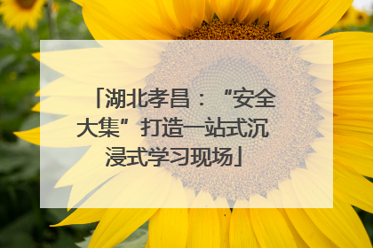 湖北孝昌：“安全大集”打造一站式沉浸式学习现场