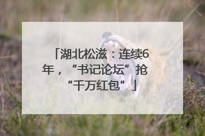 湖北松滋：连续6年，“书记论坛”抢“千万红包”