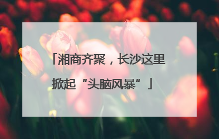 湘商齐聚，长沙这里掀起“头脑风暴”