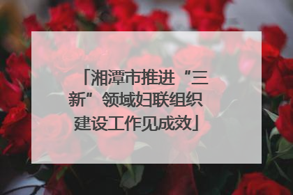 湘潭市推进“三新”领域妇联组织建设工作见成效