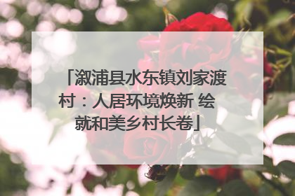 溆浦县水东镇刘家渡村：人居环境焕新 绘就和美乡村长卷