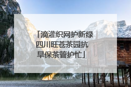 滴灌织网护新绿 四川旺苍茶园抗旱保茶管护忙