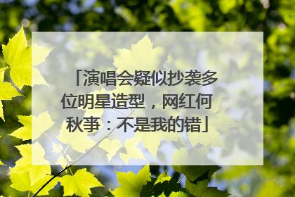 演唱会疑似抄袭多位明星造型，网红何秋亊：不是我的错