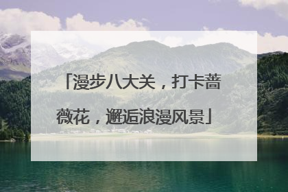 漫步八大关，打卡蔷薇花，邂逅浪漫风景