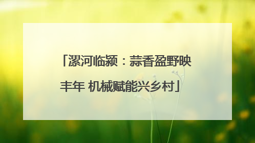 漯河临颍：蒜香盈野映丰年 机械赋能兴乡村