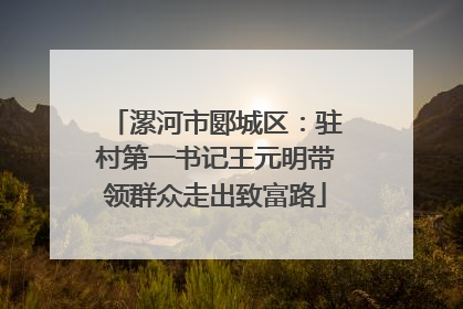 漯河市郾城区：驻村第一书记王元明带领群众走出致富路