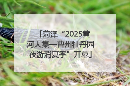 菏泽“2025黄河大集—曹州牡丹园夜游消夏季”开幕
