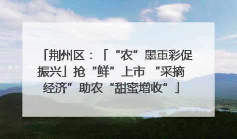 荆州区：「“农”墨重彩促振兴」抢“鲜”上市 “采摘经济”助农“甜蜜增收”