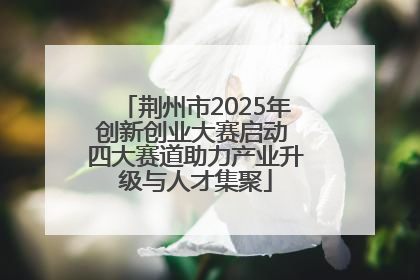 荆州市2025年创新创业大赛启动 四大赛道助力产业升级与人才集聚