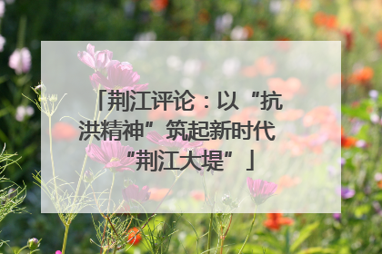 荆江评论：以“抗洪精神”筑起新时代“荆江大堤”