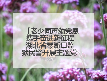 老少同声颂党恩 携手奋进新征程 湖北省琴断口监狱民警开展主题党日活动