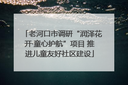 老河口市调研“润泽花开·童心护航”项目 推进儿童友好社区建设