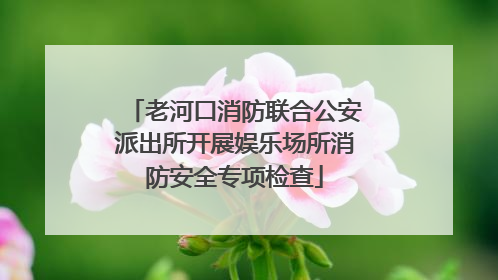 老河口消防联合公安派出所开展娱乐场所消防安全专项检查