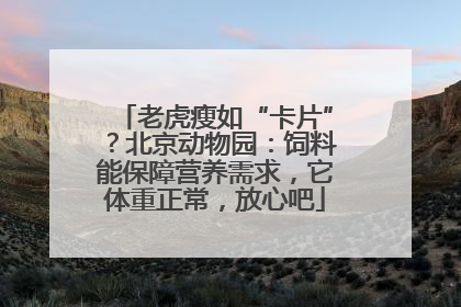 老虎瘦如“卡片”？北京动物园：饲料能保障营养需求，它体重正常，放心吧