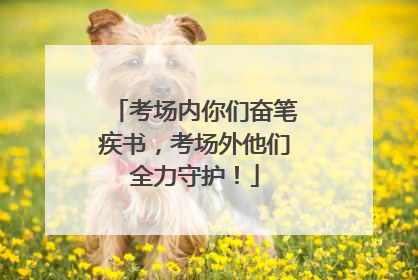考场内你们奋笔疾书，考场外他们全力守护！
