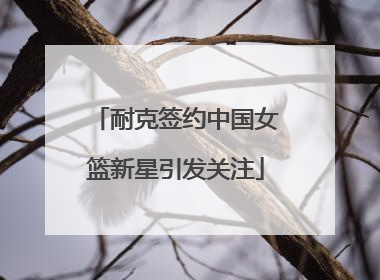 耐克签约中国女篮新星引发关注