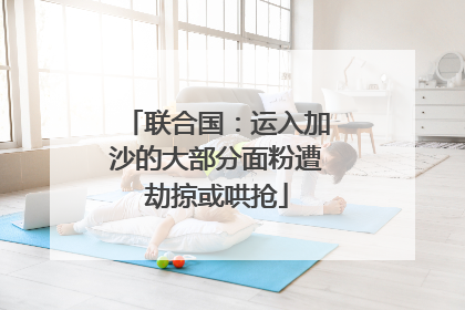联合国：运入加沙的大部分面粉遭劫掠或哄抢