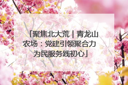 聚焦北大荒｜青龙山农场：党建引领聚合力 为民服务践初心