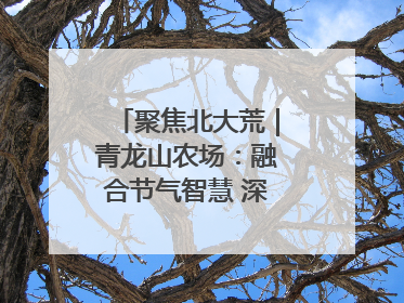聚焦北大荒｜青龙山农场：融合节气智慧 深耕安全沃土