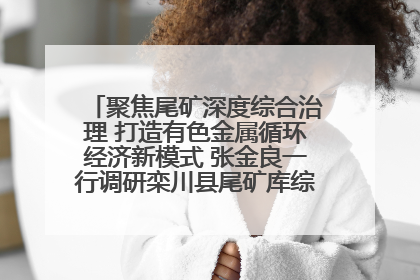 聚焦尾矿深度综合治理 打造有色金属循环经济新模式 张金良一行调研栾川县尾矿库综合治理工作