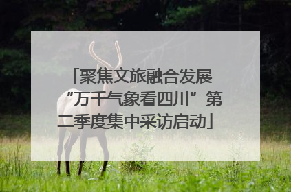聚焦文旅融合发展 “万千气象看四川”第二季度集中采访启动