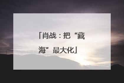肖战：把“藏海”最大化