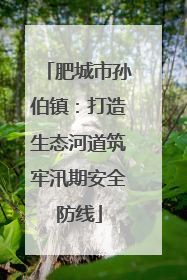 肥城市孙伯镇：打造生态河道筑牢汛期安全防线
