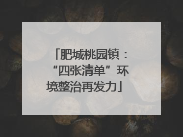 肥城桃园镇：“四张清单”环境整治再发力