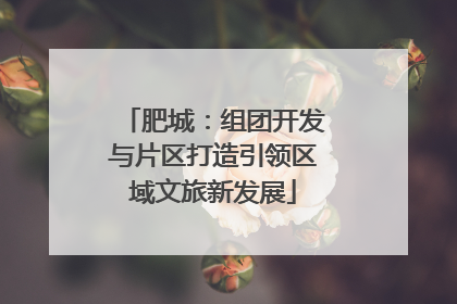 肥城：组团开发与片区打造引领区域文旅新发展