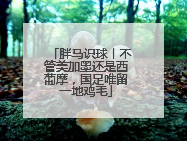 胖马识球丨不管美加墨还是西葡摩，国足唯留一地鸡毛