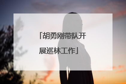 胡勇刚带队开展巡林工作