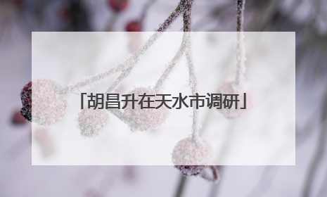 胡昌升在天水市调研