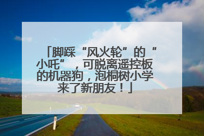 脚踩“风火轮”的“小吒”，可脱离遥控板的机器狗，泡桐树小学来了新朋友！