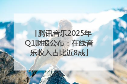 腾讯音乐2025年Q1财报公布：在线音乐收入占比近8成