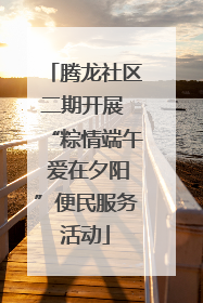 腾龙社区二期开展 “粽情端午 爱在夕阳”便民服务活动