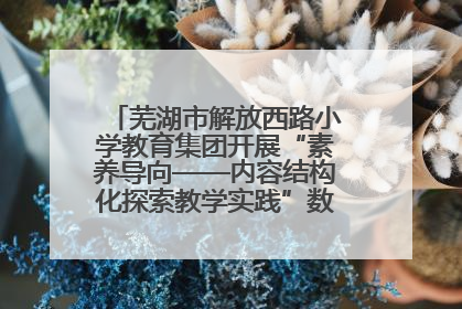 芜湖市解放西路小学教育集团开展“素养导向——内容结构化探索教学实践”数学专题研讨活动