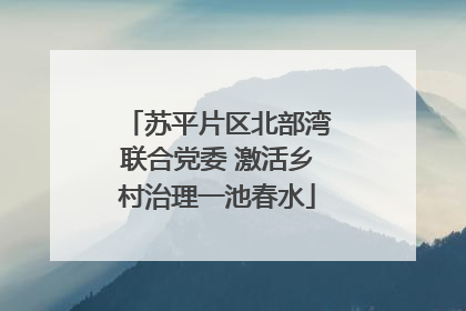 苏平片区北部湾联合党委 激活乡村治理一池春水