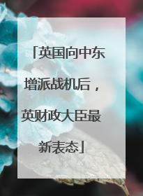 英国向中东增派战机后，英财政大臣最新表态