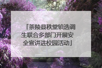 茶陵县秩堂镇选调生联合多部门开展安全宣讲进校园活动