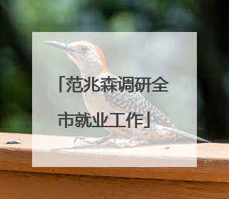 范兆森调研全市就业工作