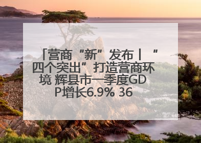 营商“新”发布丨“四个突出”打造营商环境 辉县市一季度GDP增长6.9% 36个重点项目落地