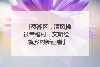 蒸湘区：清风拂过幸福村，文明绘就乡村新画卷