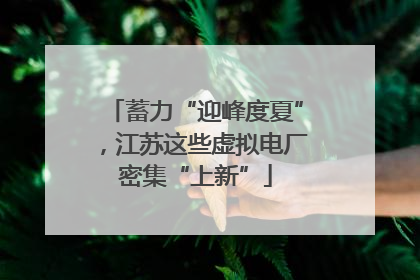 蓄力“迎峰度夏”，江苏这些虚拟电厂密集“上新”