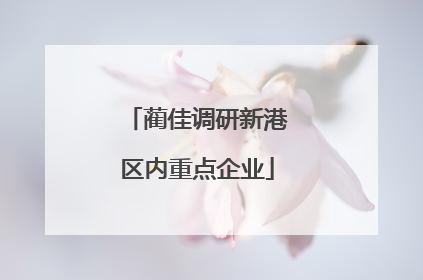 蔺佳调研新港区内重点企业