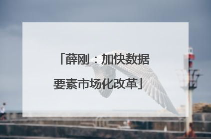 薛刚：加快数据要素市场化改革