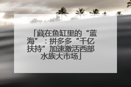 藏在鱼缸里的“蓝海”：拼多多“千亿扶持”加速激活西部水族大市场
